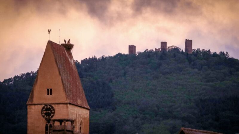 From Strasbourg: Colmar & Alsace Wine Route Private Day Trip - FAQ
