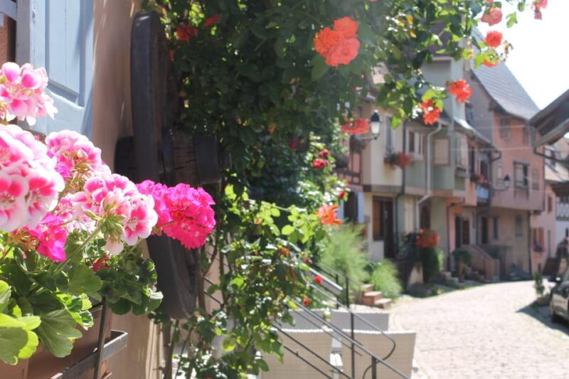 from-strasbourg-half-day-tour-of-alsace-villages