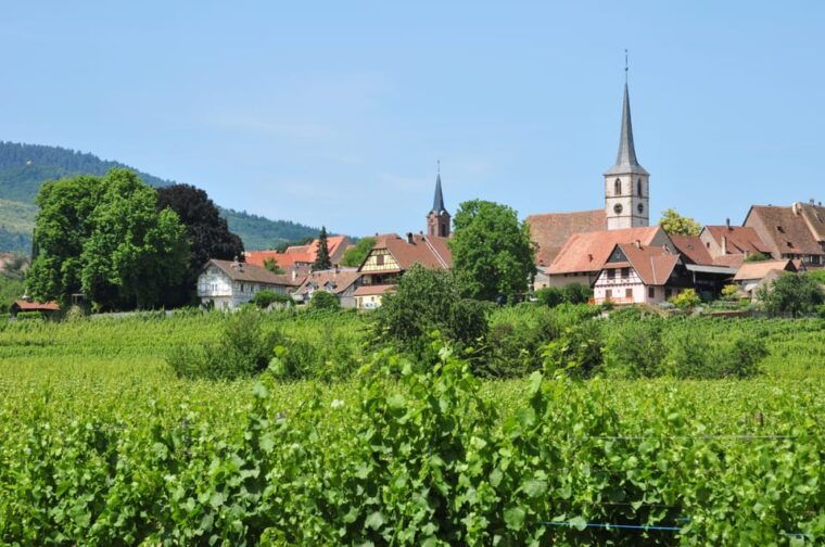 from-strasbourg-half-day-tour-of-alsace-villages