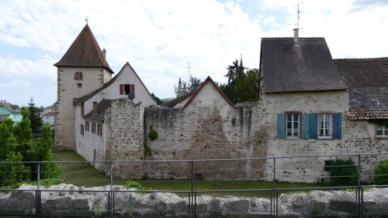 from-strasbourg-medieval-villages-wine-tasting-day-trip