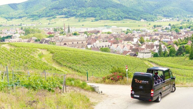 from-strasbourg-medieval-villages-wine-tasting-day-trip