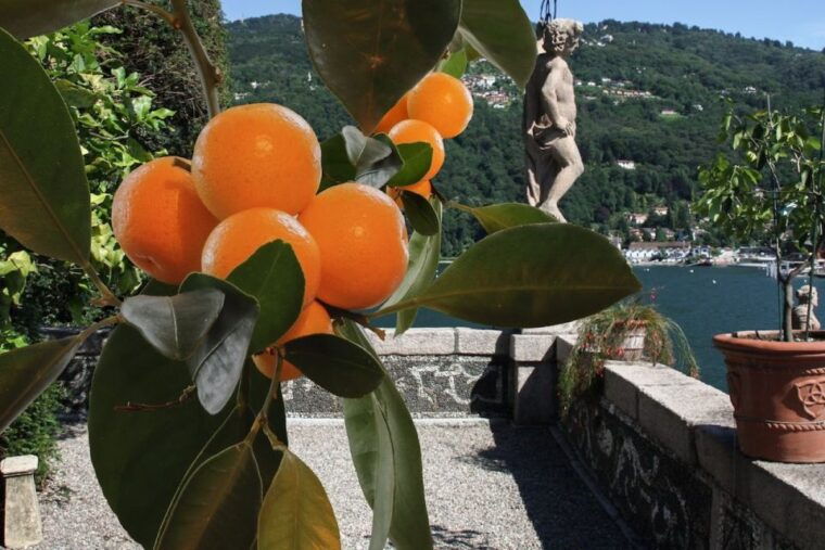 from-stresa-2-borromean-islands-hop-on-hop-off-boat-tour