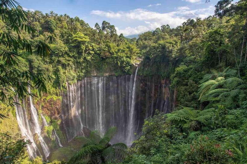 from-surabaya-3-day-bromo-ijen-tour-with-bali-transfer