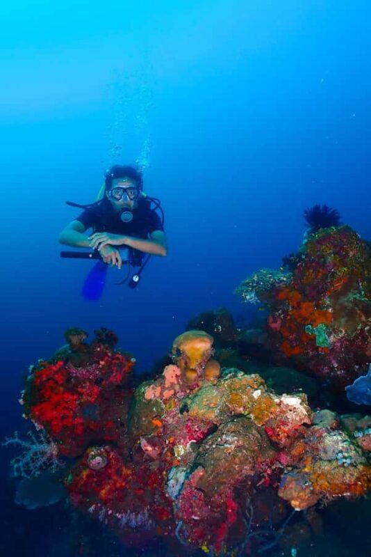 From Surabaya: Banyuwangi 2-day Diving Tour - Comprehensive Review of the Banyuwangi 2-Day Diving Tour