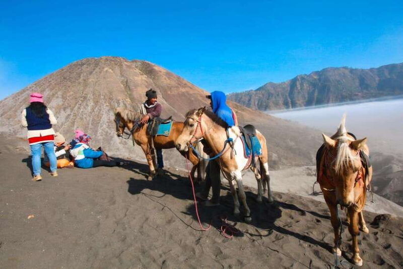 from-surabaya-or-malang-3-day-bromo-ijen-tour-stay