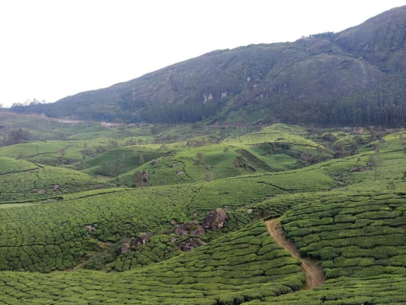 From Suryanelli: Kolukkumalai Tent Stay - Key Points