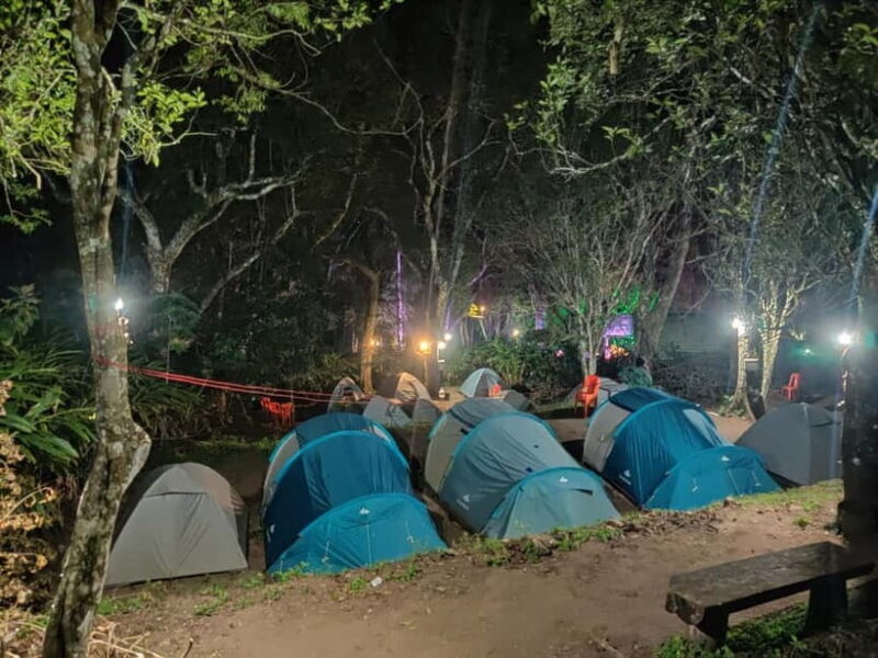 From Suryanelli: Kolukkumalai Tent Stay - Considerations and Potential Drawbacks