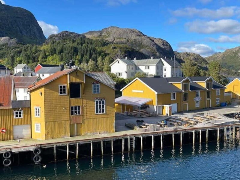 From Svolvær: Explore Nusfjord & Henningsvær, in 1 day - Final Thoughts: Who Is This Tour Best For?