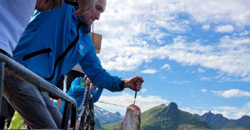 from-svolvaer-lofoten-fishing-boat-cruise