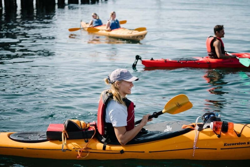 From Svolvær: Lofoten Guided Kayak Experience - Exploring the Lofoten Kayak Experience