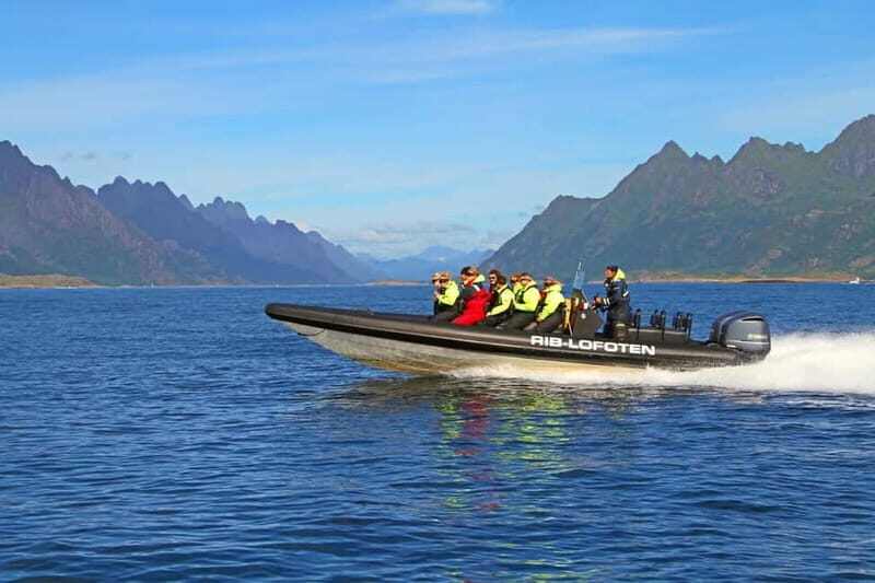 From Svolvær: Lofoten RIB Sea Eagle Safari Trollfjord Cruise - Final Thoughts