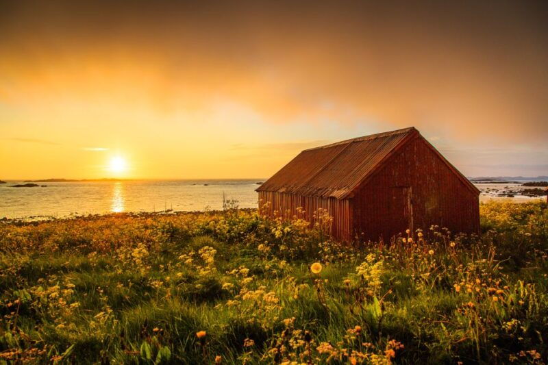 from-svolvaer-midnight-sun-photo-tour