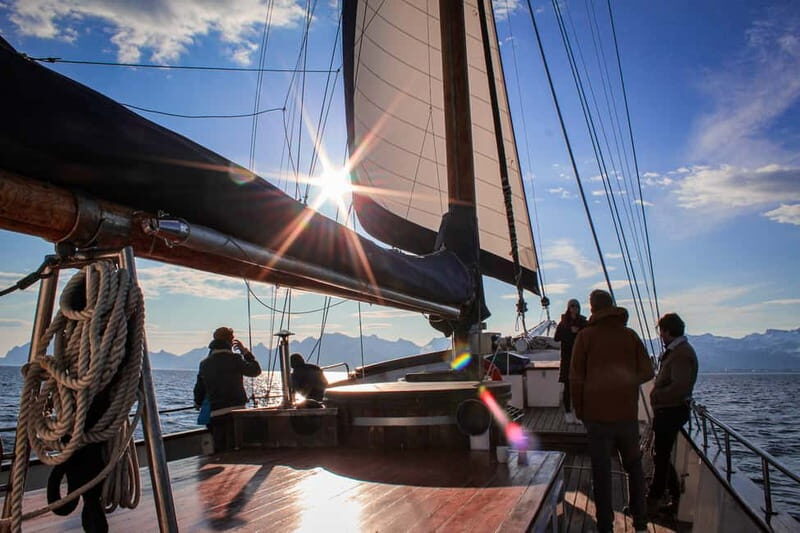 From Svolvær: Private Midnight Sun Yacht Cruise in Lofoten - The Experience: What’s It Like?