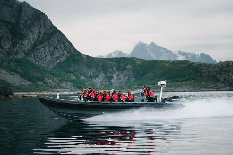 From Svolvær: RIB Boat Lofoten Trollfjord Sea Eagle Safari - Key Points
