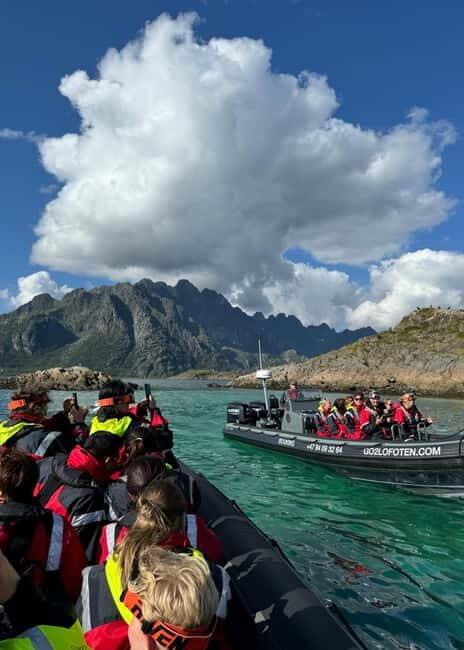 From Svolvær: RIB Boat Lofoten Trollfjord Sea Eagle Safari - Who Will Love This Tour?