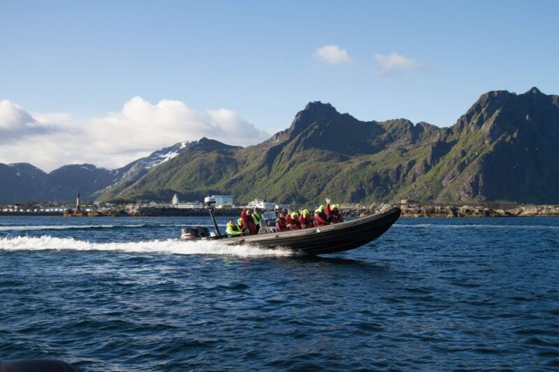 from-svolvaer-rib-sea-eagle-safari-trollfjord-cruise