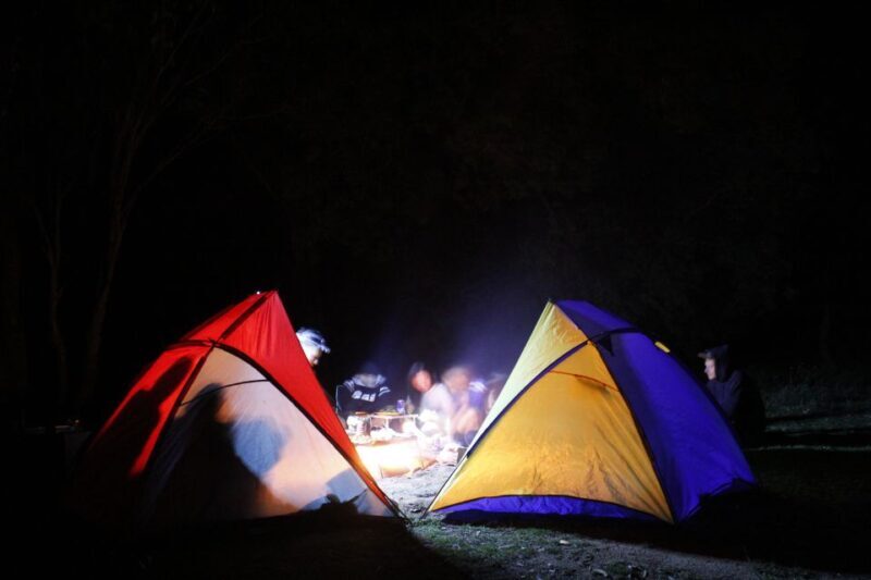 From Sydney: 2-Day Blue Mountains Camping 4WD & River Cruise - Key Points