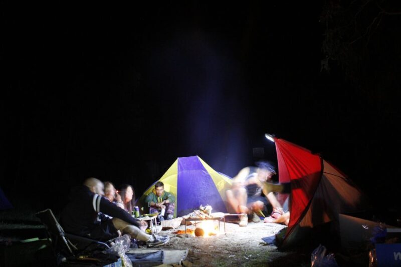 From Sydney: 2-Day Blue Mountains Camping 4WD & River Cruise - A Detailed Look at the Experience