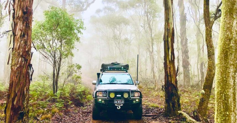 From Sydney: 2-Day Blue Mountains Camping 4WD & River Cruise - What to Pack & Practical Tips