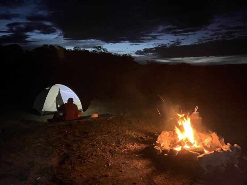 From Sydney: 2-Day Blue Mountains Camping 4WD & River Cruise - Who Will Love This Tour?