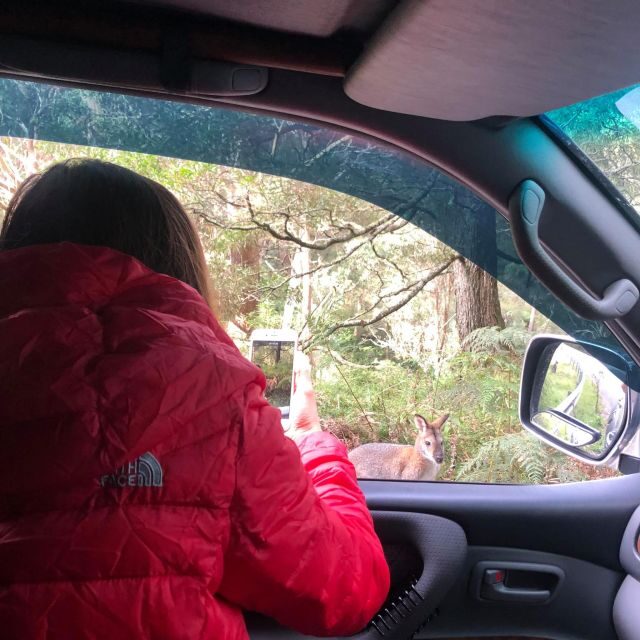 From Sydney: 2-Day Blue Mountains Camping 4WD & River Cruise - FAQ