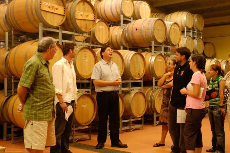 From Sydney: All Inclusive Boutique Hunter Valley Wine Tour - Who Is This Tour Best Suited For?