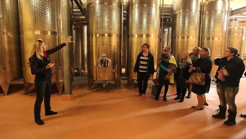 From Sydney: Award-Winning Hunter Valley Wine & Cheese Tour - An Authentic Taste of Hunter Valley’s Boutique Wineries