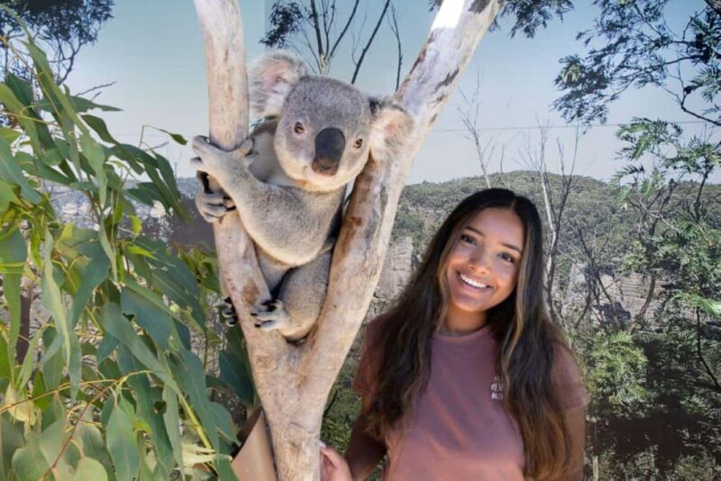 From Sydney: Blue Mountains Day Tour & Hop-on, Hop-off Tour - The City Tour: Sydney Sights at Your Own Pace