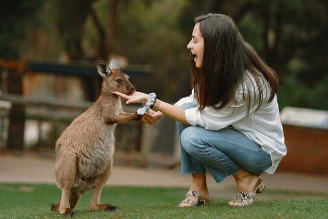 From Sydney Blue Mountains Private Tour with Wildlife Park - Discover the Blue Mountains on a Private Tour from Sydney