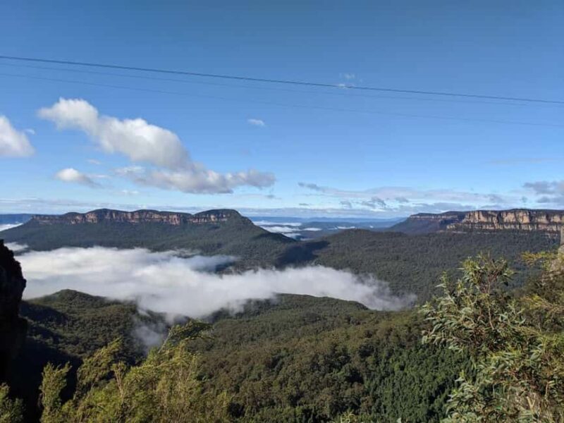 From Sydney: Blue Mountains Private Tour with Wildlife Park - Introduction: Discovering the Blue Mountains on a Private Day Tour