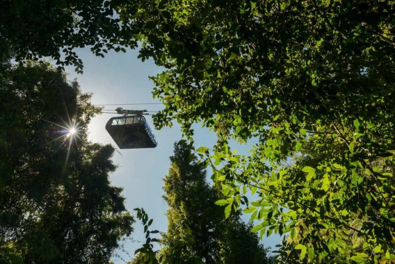 From Sydney: Blue Mountains, Scenic Railway, & Sydney Zoo - FAQ