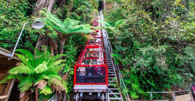 From Sydney: Blue Mountains, Scenic World, Zoo, & Ferry Ride - An In-Depth Look at the Tour Experience