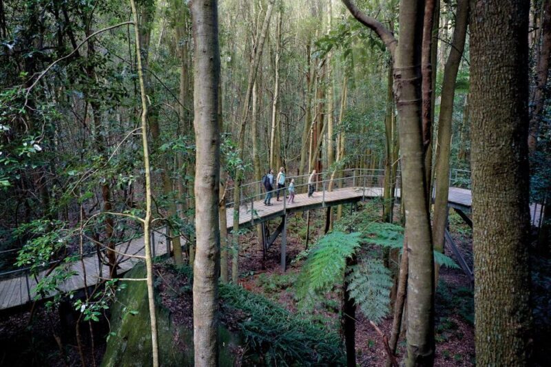 From Sydney: Blue Mountains, Scenic World, Zoo, & Ferry Ride - Is this Tour Worth It?