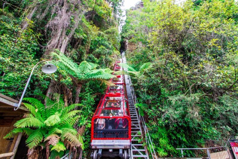 From Sydney: Blue Mountains, Scenic World, Zoo, & Ferry Ride - Final Thoughts
