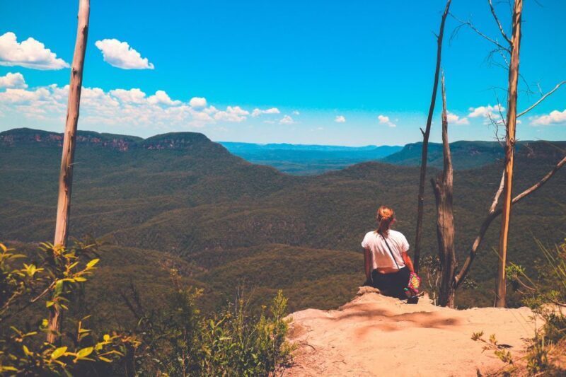 From Sydney: Blue Mountains, Sydney Zoo & Walking Tour - Key Points