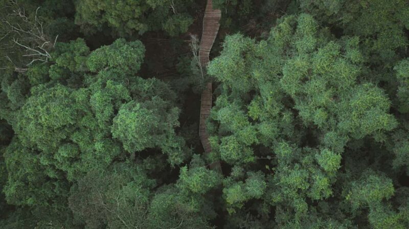 From Sydney: Blue Mountains, Sydney Zoo & Walking Tour - Final Thoughts: Is It Worth It?