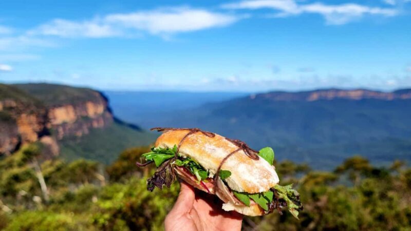 From Sydney: Blue Mountains Tour with Waterfall Walk & Lunch - FAQ
