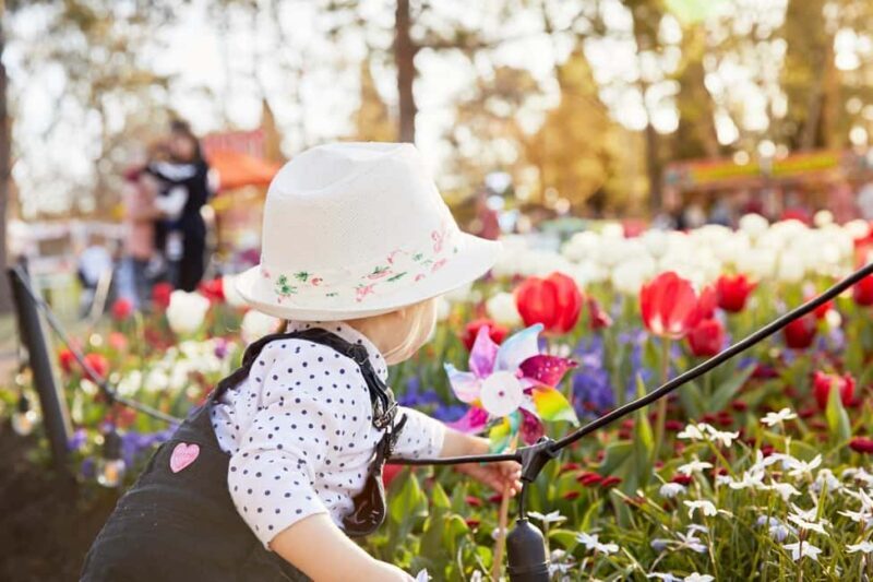 From Sydney: Canberra Floriade Festival Includes Lunch - Key Points