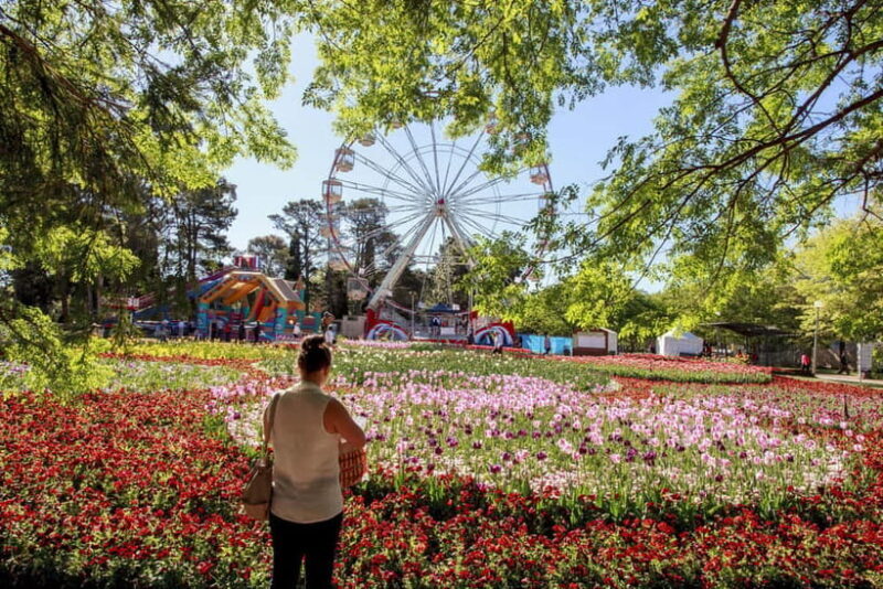 From Sydney: Canberra Floriade Festival Includes Lunch - Transportation and Comfort