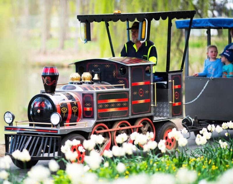 From Sydney: Canberra Floriade Festival Includes Lunch - The Guide and Group Dynamics