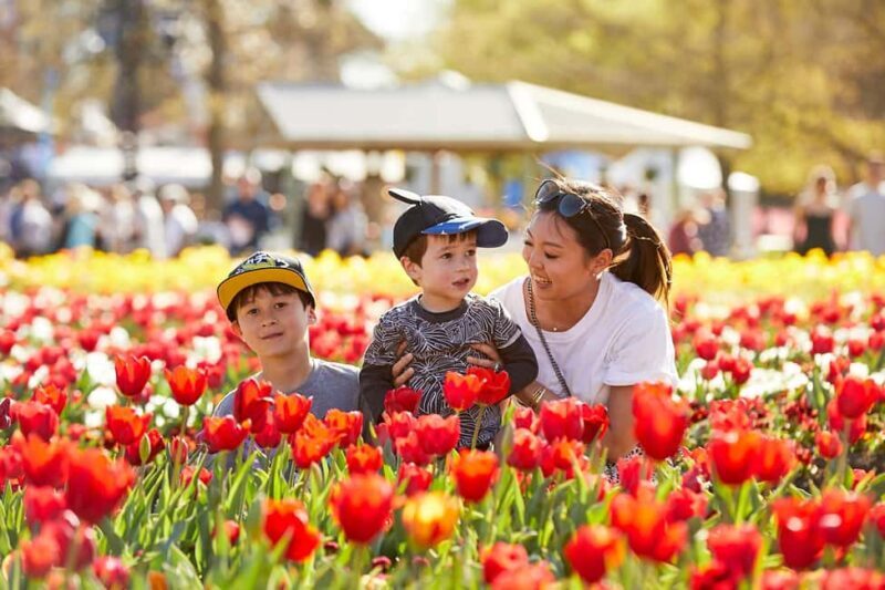From Sydney: Canberra Floriade Festival Includes Lunch - Practicalities and Considerations