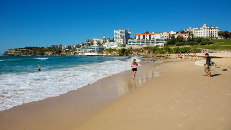 From Sydney: Full Day Tour of Golden Beaches and Ocean Vista - Final Thoughts