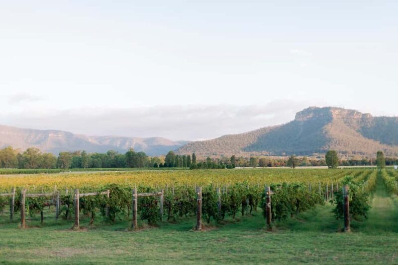 From Sydney: Hunter Valley Boutique Wine Tasting Tour - The Itinerary Breakdown: What to Expect