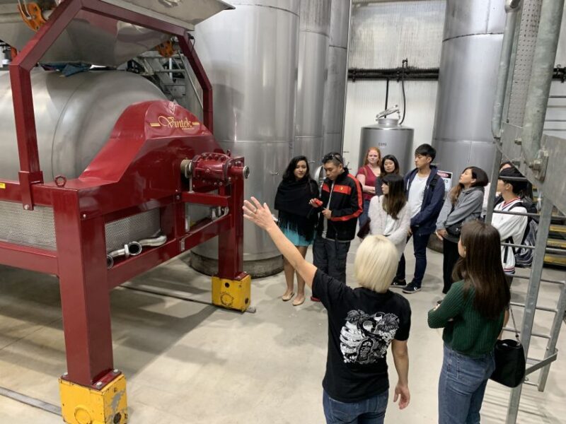 From Sydney: Hunter Valley Multi-Brewery Tour with Lunch - The Lunch Experience