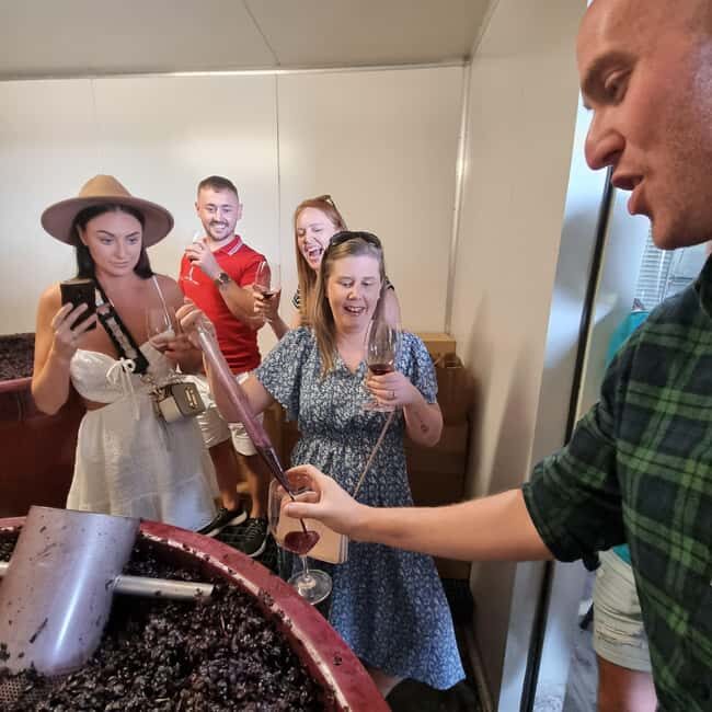 From Sydney: Hunter Valley Wine, Gin & Food Tastings Tour - Final Thoughts