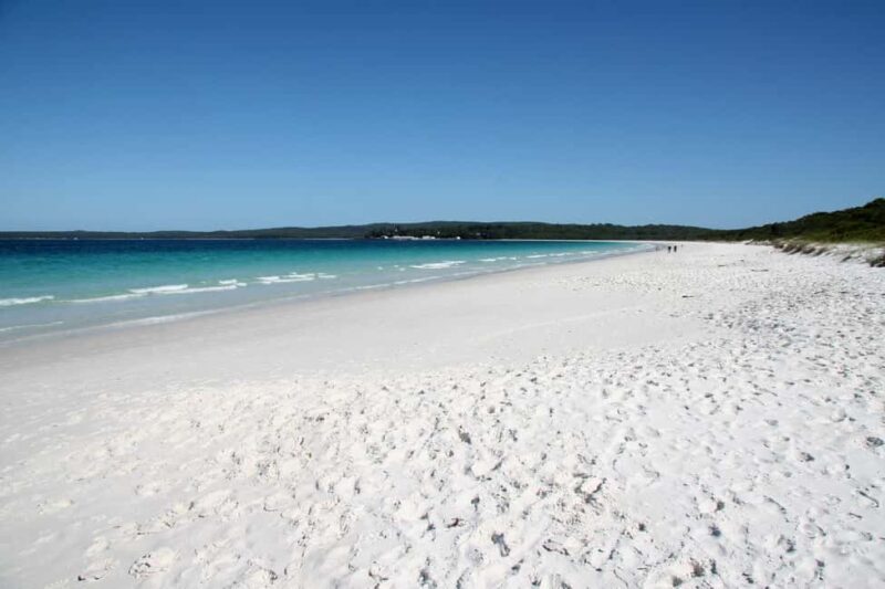 From Sydney: Jervis Bay Tour with Beach, Koalas & Kangaroos - An In-Depth Look at the Jervis Bay Day Trip Experience