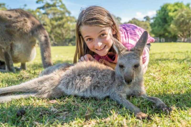 From Sydney: Jervis Bay Tour with Beach, Koalas & Kangaroos - Final Thoughts