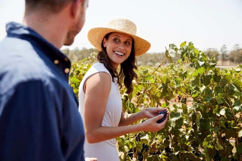 From Sydney: Luxury Hunter Valley Wine Tour with Fine Dining - Introducing the Luxury Hunter Valley Wine Tour from Sydney