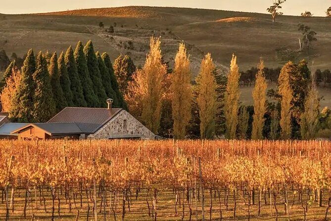 From Sydney Private Tour of Waterfalls Wineries and Wildlife - An In-Depth Look at the Itinerary