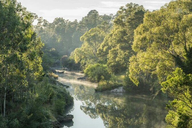 From Sydney Private Tour of Waterfalls Wineries and Wildlife - FAQ